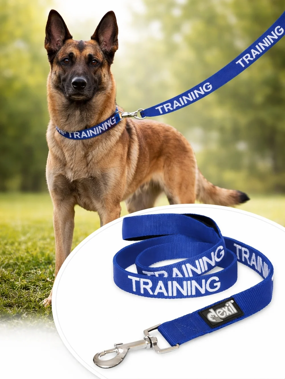 Dexil Ltd nwt leash